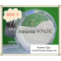 QCC Herbicide Atrazine 97%TC -lq